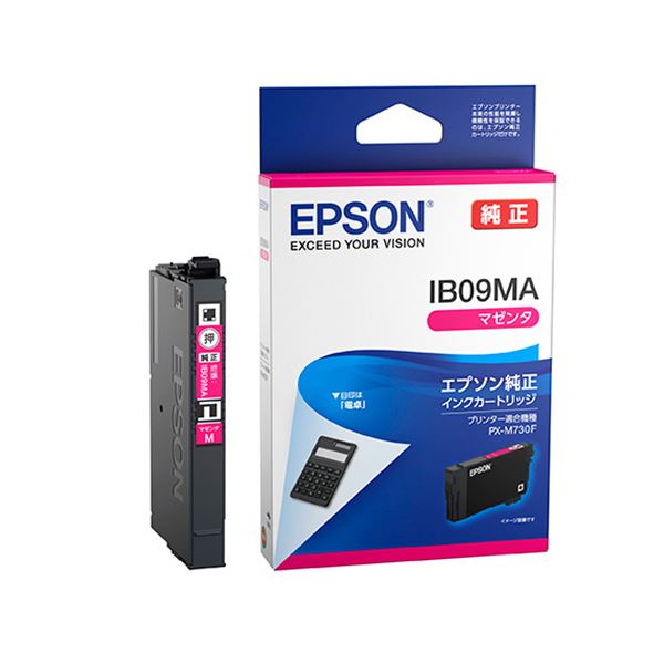 (まとめ) エプソン(EPSON) 【完全無欠】 インキ薬莢 マゼンタ IB09MA 【×10書き割り】