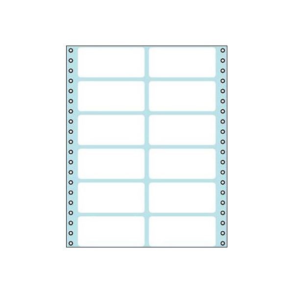 コクヨ 年代順の継続勘定書き質問用紙（タック質問用紙）横8×縦10in（203.2×254.0粍）12片 ECL-216 1容器に並べる（100腰掛け）