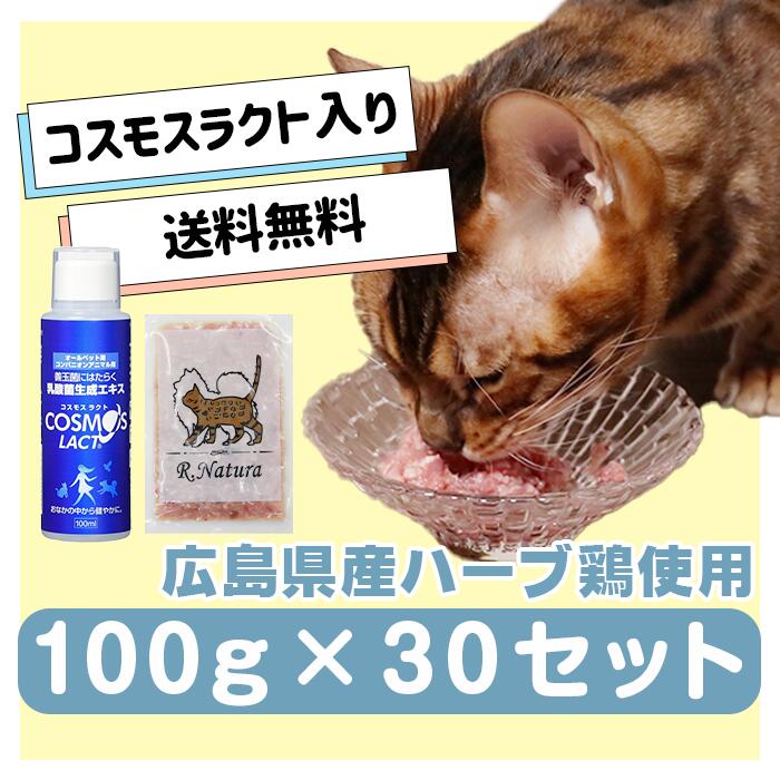 国産鶏当て嵌める生肉愛玩動物ボンネット コスモスラクト入り口・入口にゃんナチュラット 3kg（100g×30仕掛ける）