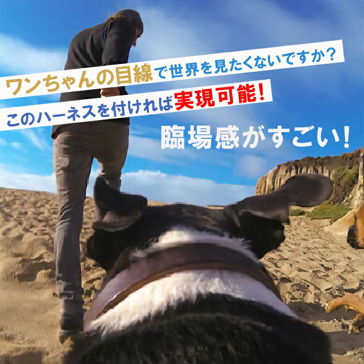 楽天市場 ランキング1位獲得 ペット用 Gopro 装着 ハーネス マウント Goprohero 5 4 3 2 調節可能 チェストストラップ カメラアクセサリーキット 猫 犬 ゴープロ ゴープロヒーロー Sjcam Sj4000 Sj5000 アクセサリー 散歩 海 川 河 ハイキング 旅行 サーフィン