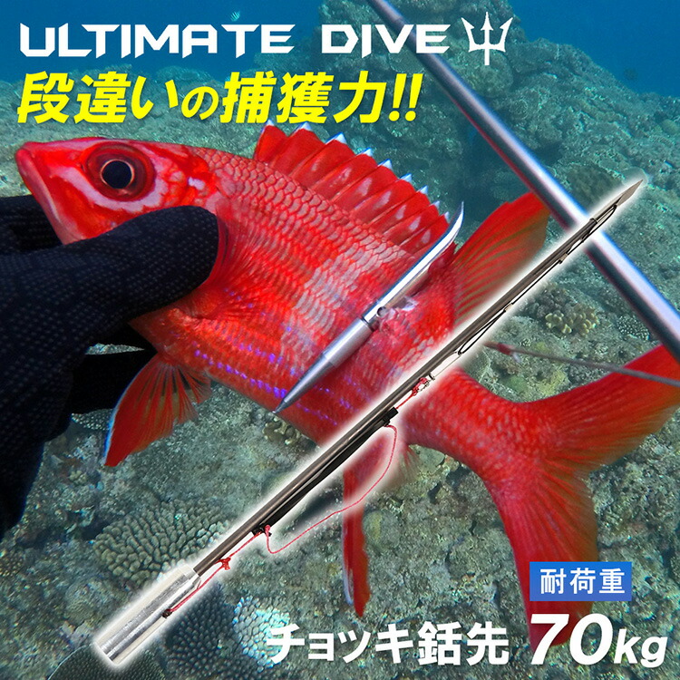 楽天市場】IMERSION イマージョン 魚突き 用 フロート 超高機能