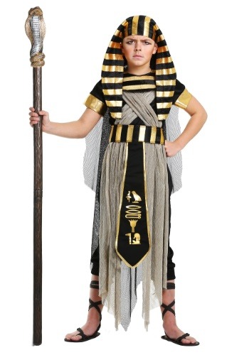All Powerful Pharaoh 男の子s コスチューム | 子供 こども コスプレ 衣装 仮装 かわいい イベント 飾り おもしろ 学芸会 発表会 オシャレ ハロウイン パーティ カワイイ 小学生 キッズ ギフト プレゼント|Mars shop