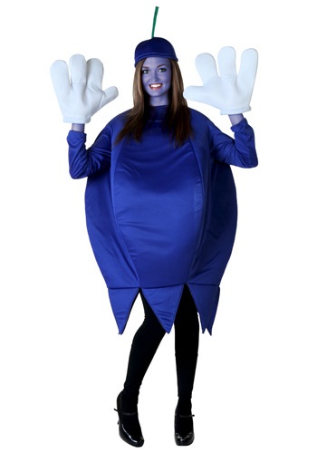 大人用 Blueberry コスチューム レディース コスプレ 衣装 女性 仮装 女性用 イベント パーティ 学芸会 ギフト プレゼント
