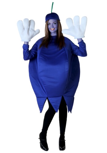 大きいサイズ Blueberry コスチューム レディース コスプレ 衣装 女性 仮装 女性用 イベント パーティ 学芸会 ギフト プレゼント