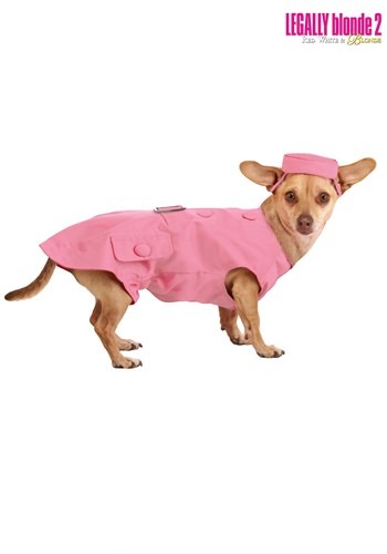 Legally Blonde 2 Bruiser Dog コスチューム ハロウィン コスプレ 衣装  仮装 小道具 おもしろい  イベント パーティ ハロウィーン 学芸会 学園祭 学芸会 ショー お遊戯会 二次会 忘年会 新年会 歓迎会 送迎会 出し物 余興 誕生日 発表会