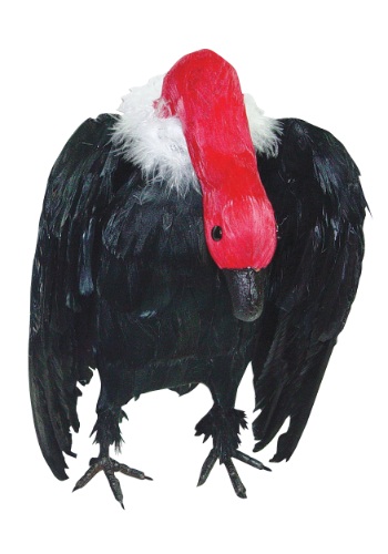 Vulture with Head Down Prop ハロウィン コスプレ 衣装  仮装 小道具 おもしろい  イベント パーティ ハロウィーン 学芸会 学園祭 学芸会 ショー お遊戯会 二次会 忘年会 新年会 歓迎会 送迎会 出し物 余興 誕生日 発表会