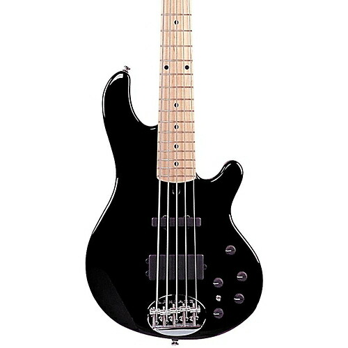 ベース Lakland Skyline Series SK-569 Tetsuya Lakland/ESP Skyline Japan Series SK-569 Tetsuya 5-String