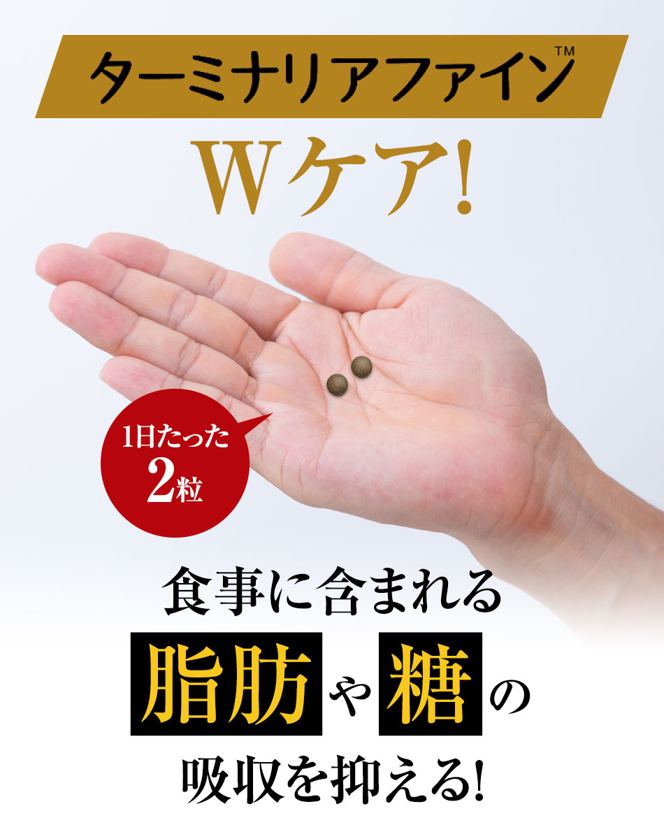 2022A/W新作送料無料 ターミナリアファイン premium 5袋 機能性表示食品 機能性関与成分 注目のスーパーフルーツ ターミナリアベリリカ