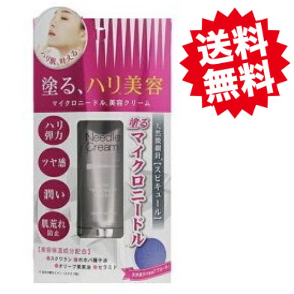 美容、ニードルスキンケア 楽天市場】針美容 ニードルクリーム エクスプレス 25g 日本製 マイクロ