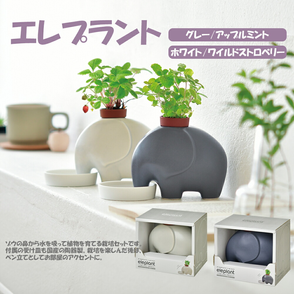 楽天市場】【大感謝祭SALE】【送料無料】2個セット 全2種 各1個 エレ