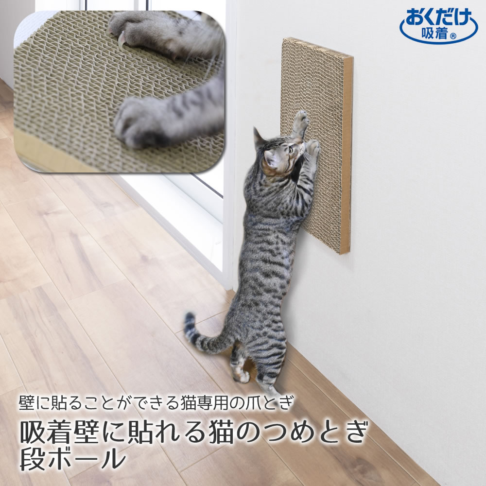 【楽天市場】ねこの爪とぎ 詰め替え ８本入 詰め替えタイプ 猫 ネコ 