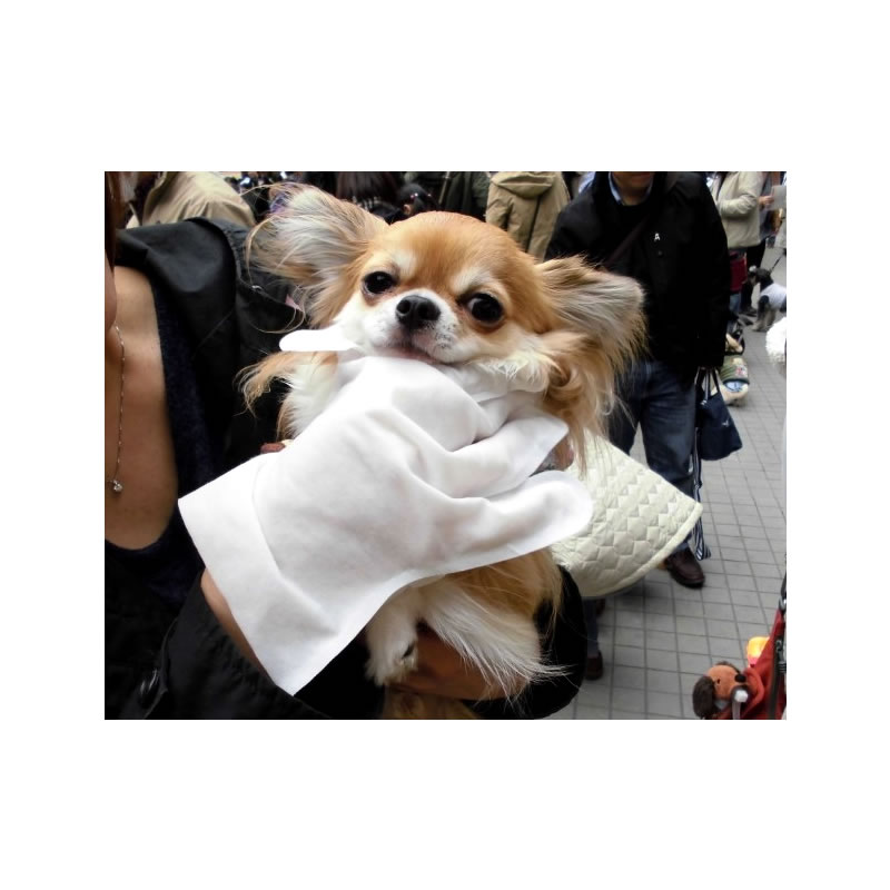 楽天市場 トリートメントグローブ30枚入 犬 いぬ イヌ 猫 ネコ ねこ 水なしシャンプー ペット ぺっと トリートメント お手入れ 耳掃除 毛玉ケア シャワー手袋 シャワーグローブ 足裏 土落とし マッサージ ブラッシング まるモール 楽天市場店