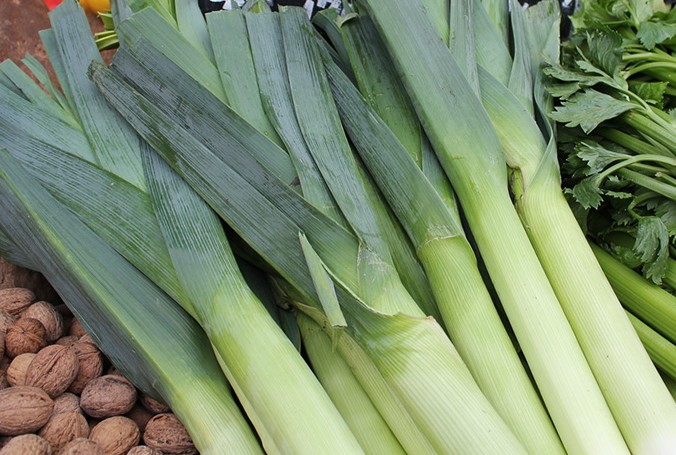 楽天市場】リーキ（ポロねぎ・ポアロー・リーク・西洋ねぎ）1箱（5kg