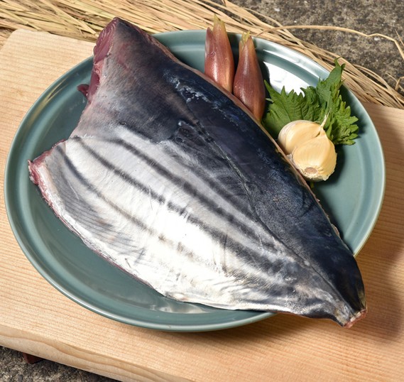 宮崎県産　初カツオ　初鰹フィレ　約2KG