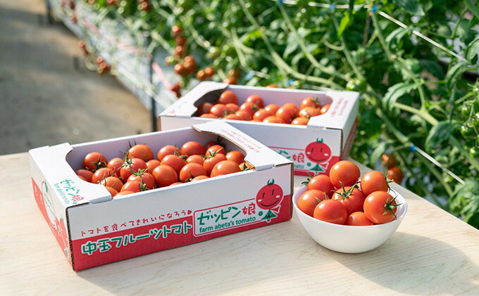 楽天市場】大阪府産 トマト 光玉（こうぎょく）L〜3Lサイズ 15〜20玉