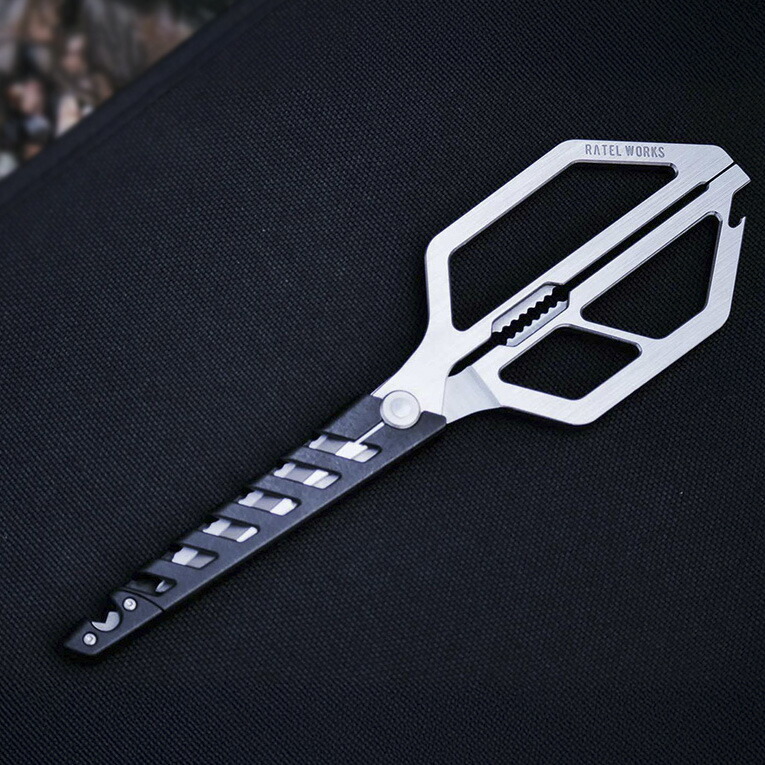 楽天市場】鍛造ペグ たんぞう 25cm 4本セット RATELWORKS ラーテル