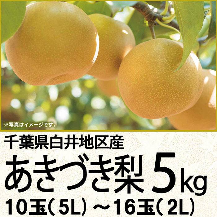 楽天市場 銀行振込 コンビニ決済受付は終了しました 千葉県産あきづき梨５ｋｇ10玉 5l 14玉 3l 2 梨 マルエツ