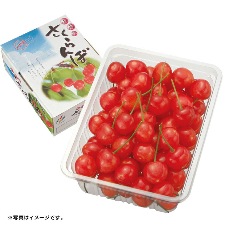 ギフト　産直　新鮮<br>山形県東根市産<br>さくらんぼ（佐藤錦）バラ詰め<br>（旬25-220）