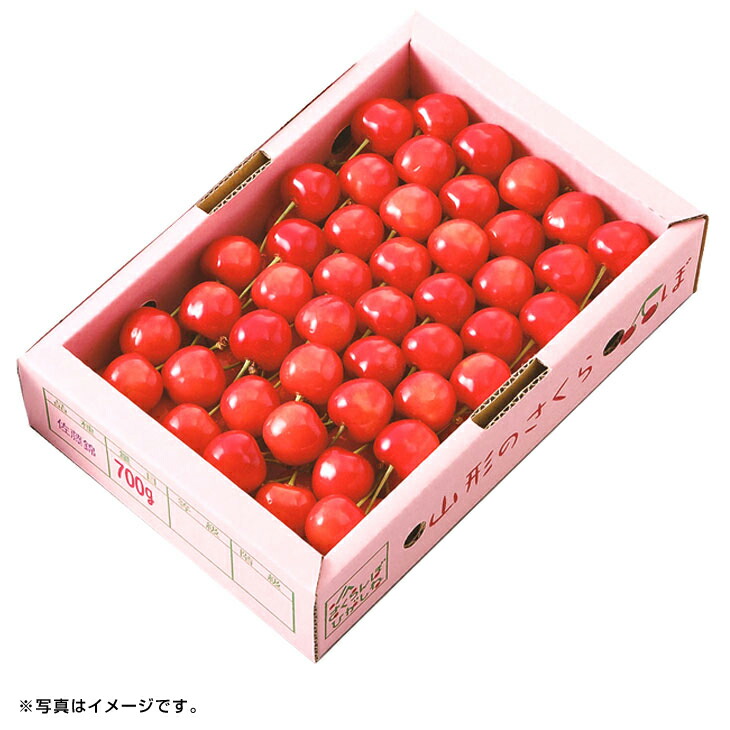 ギフト　産直　新鮮<br>山形県東根市産<br>さくらんぼ（佐藤錦）置き並べ詰め<br>（旬25-220）