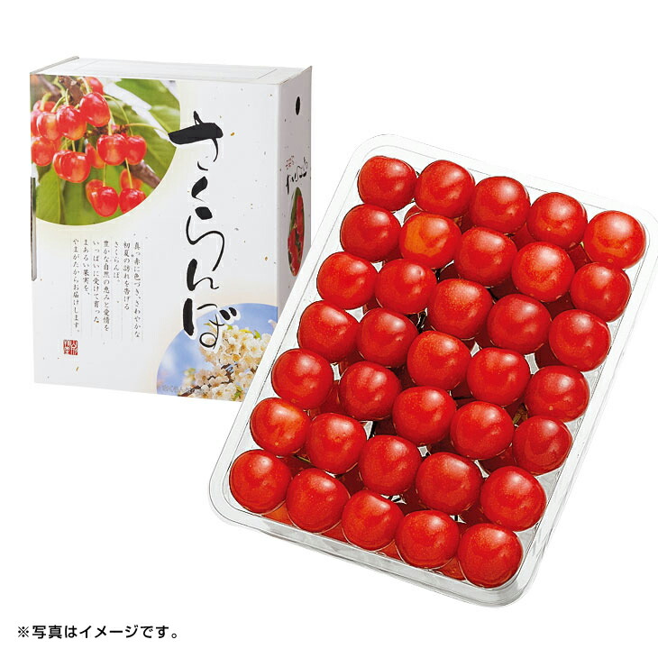 ギフト　産直　新鮮<br>山形県産(ＪＡてんどう）<br>さくらんぼ（佐藤錦）手詰め<br>（旬25-220）