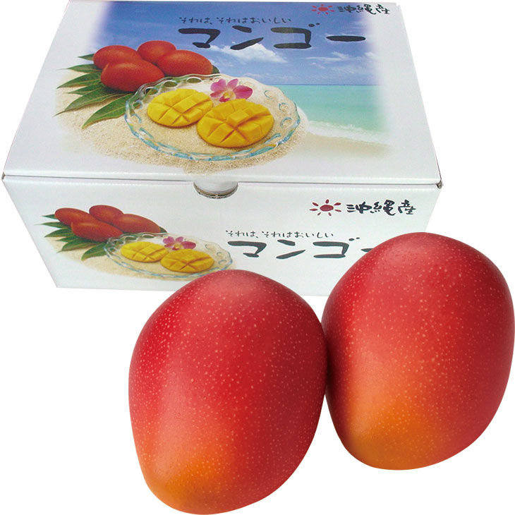 お中元　ギフト　<br>沖縄県産<br>マンゴー２～３玉（220_25夏）