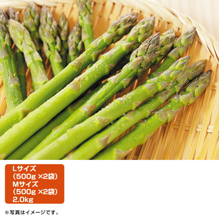 ギフト　産直　新鮮 北海道産 グリーンアスパラガス（徳用） （旬26-220）