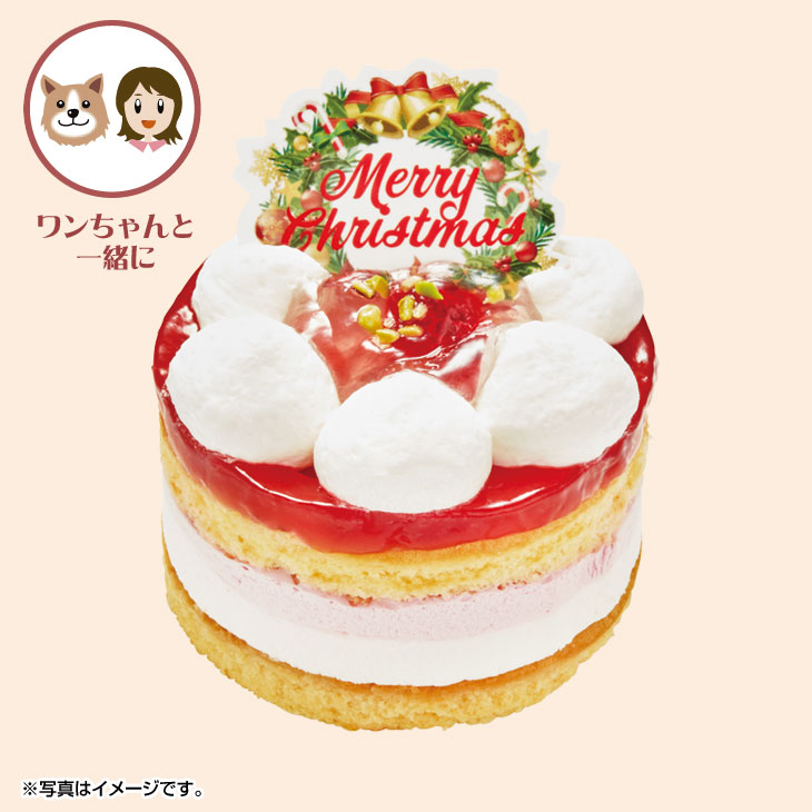 クリスマス ホットドッグコミフベリーと豆乳クリームのｘｍａｓショートケーキ 310 X アウトレットセール 特集