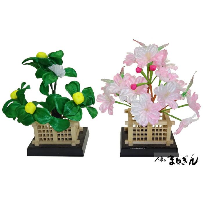21f0043_wakakusa20_m.jpg