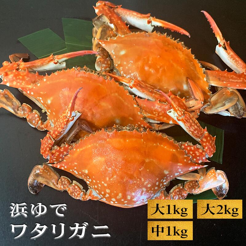 楽天市場】【活〆生】 ワタリガニ オス 大サイズ1kg 2kg 中サイズ1kg