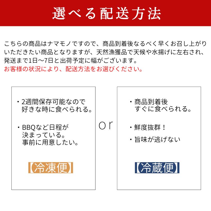 あなたにおすすめの商品 貝セット 大あさりサザエ 4kg 各2kg 貝 q 冷蔵 冷凍 選べる配送方法 Fucoa Cl