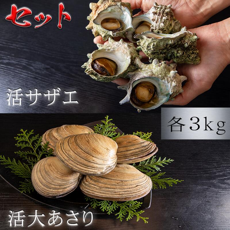 最大54 オフ 貝セット 大あさりサザエ 6kg 各3kg 貝 q 冷蔵 冷凍 選べる配送方法 Fucoa Cl
