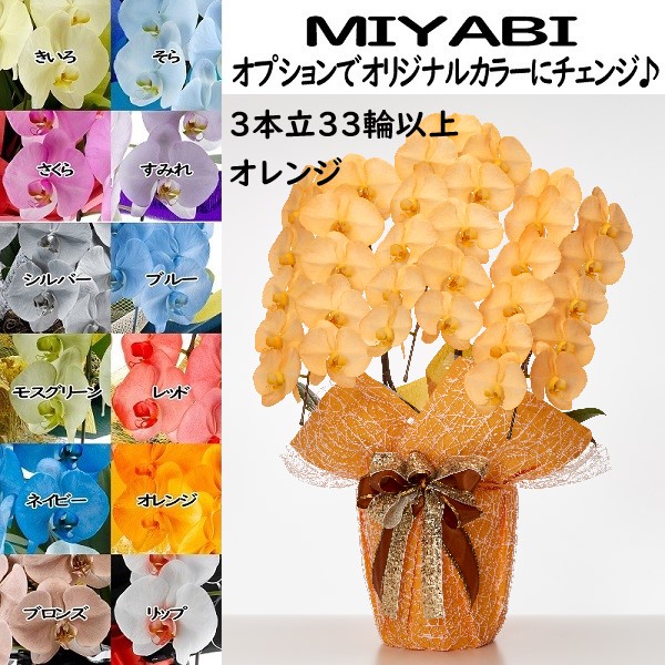 売れ筋 本日発送  【MYK6IZASMML】 限定デザイン