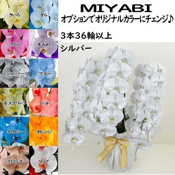 あす楽対応 MLLFRKB1G8O [MLLFRKB1G8O]