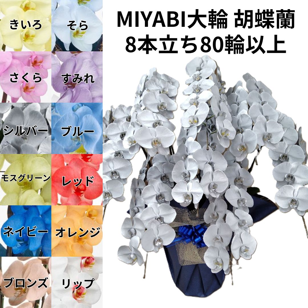 色つや夢見鳥蘭 MIYABI ８本立ち ８０輪以上蕾込み【貨物輸送無料】夢見鳥蘭 青碧 花 差し上げ物 お歳暮 開業祝 開店祝 移し替える祝賀会 お生まれ落ちる日 各種差し上げ物 御盆 お供えに