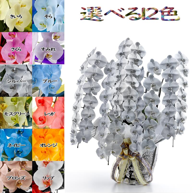 色合い夢見鳥蘭 MIYABI ７本立ち５６輪以上莟込み【貨物輸送無料】花 差し上げ物 お歳暮 開業祝 開店祝 移し替える祝い事 お生まれ落ちる日 各種差し上げ物 御盆 お供えに