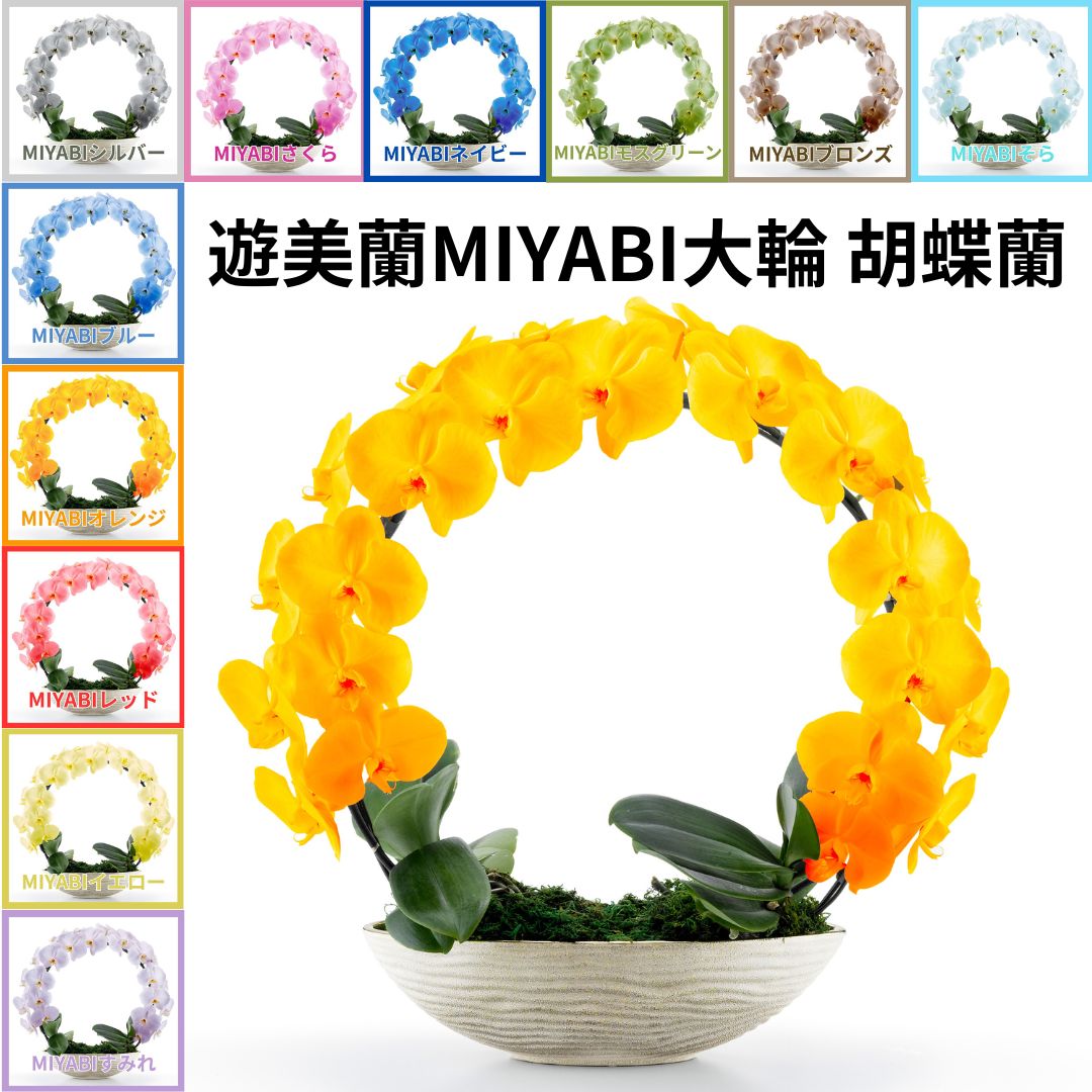 リピート多数 最短翌日お届け MJGQ2888I96 [MJGQ2888I96]