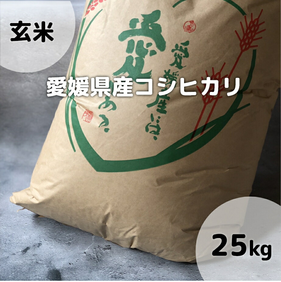 愛媛県産 コシヒカリ 玄米 25g 令和3年産使用 備蓄米 お米 米