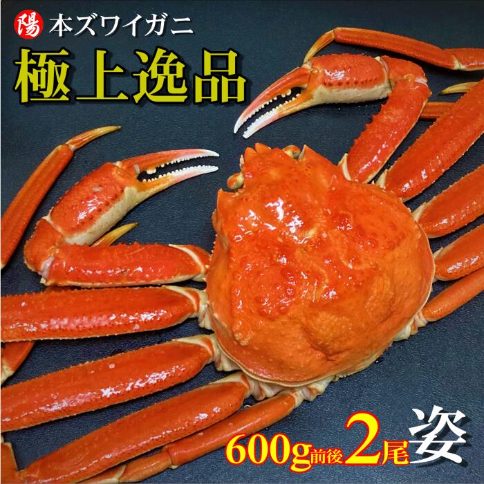 お買い物マラソン＼クーポン対象／本ズワイガニ姿 600g前後×2尾【送料無料 ズワイガニ姿 ボイル 1.2kg かにみそ 蟹みそ 大サイズ 最高級 冷凍 海鮮 蟹 かに カニ かに姿 カニ姿 姿 ずわいがに ズワイガニ ギフト お取り寄せ お祝い 贈答品 お歳暮 入学祝 お花見 母の日】