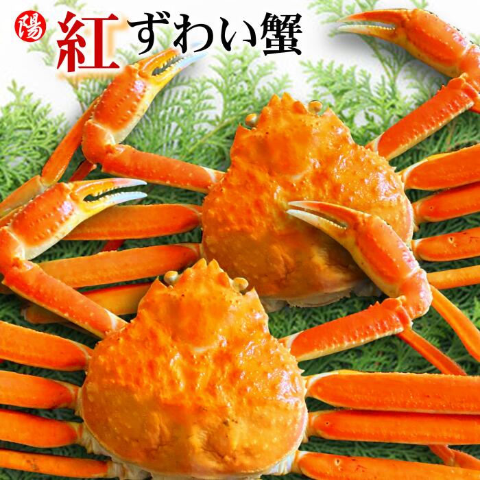 楽天市場】スーパーSALE＼クーポン対象／本ズワイガニ姿 600g前後×2尾
