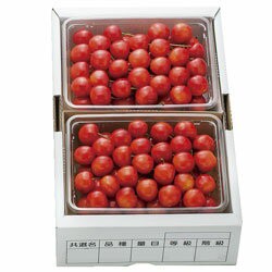 エントリーでP5倍 ［山形］寒河江産 さくらんぼ 紅秀峰 エントリーでポイント5倍（5月27日01：59迄）