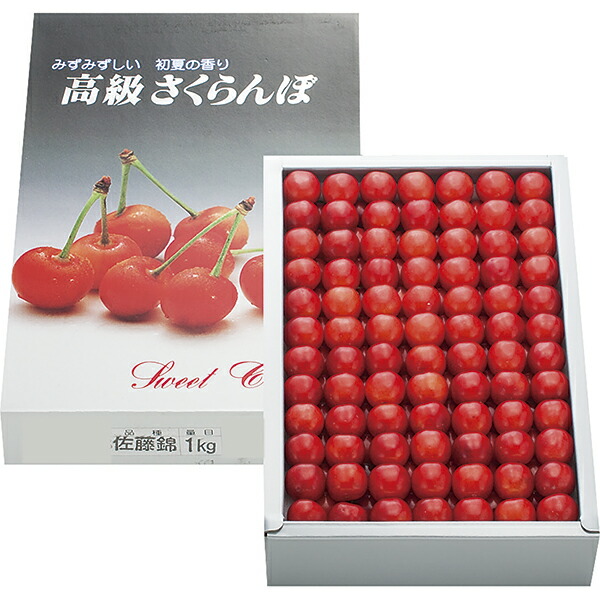 御中元 若木佐藤錦 YOG-16 P47