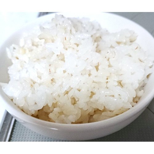 こんにゃくもち麦ごはん Gx 本 10袋購入価額 Kanal9tv Com