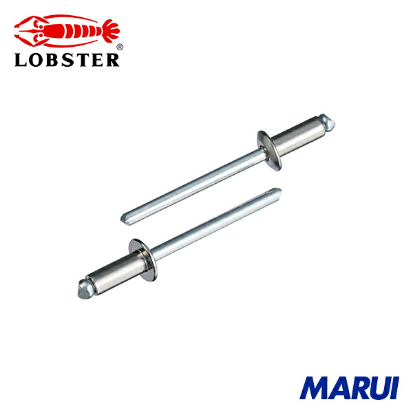 エビ ブラインドリベット(丸頭) ステンレス/スティール製 5-5(1000本入) 1箱 LSS55 | ブラインドリベット|MARUI