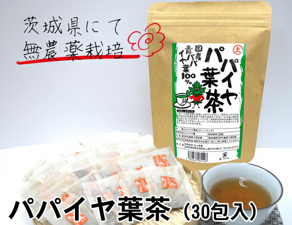 楽天市場】国産 青パパイヤ葉茶 50g ( グリーンパパイヤリーフティー