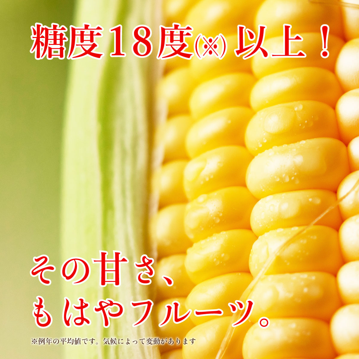 楽天市場 とうもろこし スイートコーン 甘党スイートコーン 大分県竹田 1箱 約2kg ２lサイズ 約350g 6本 3箱以上で送料無料 フルーツのように甘い 秀品のみ 品種 恵味 卯野農場 産地直送 おすすめ 人気 トウモロコシ とうきび 旬野菜 黄色 暑中見舞い お取り寄せ