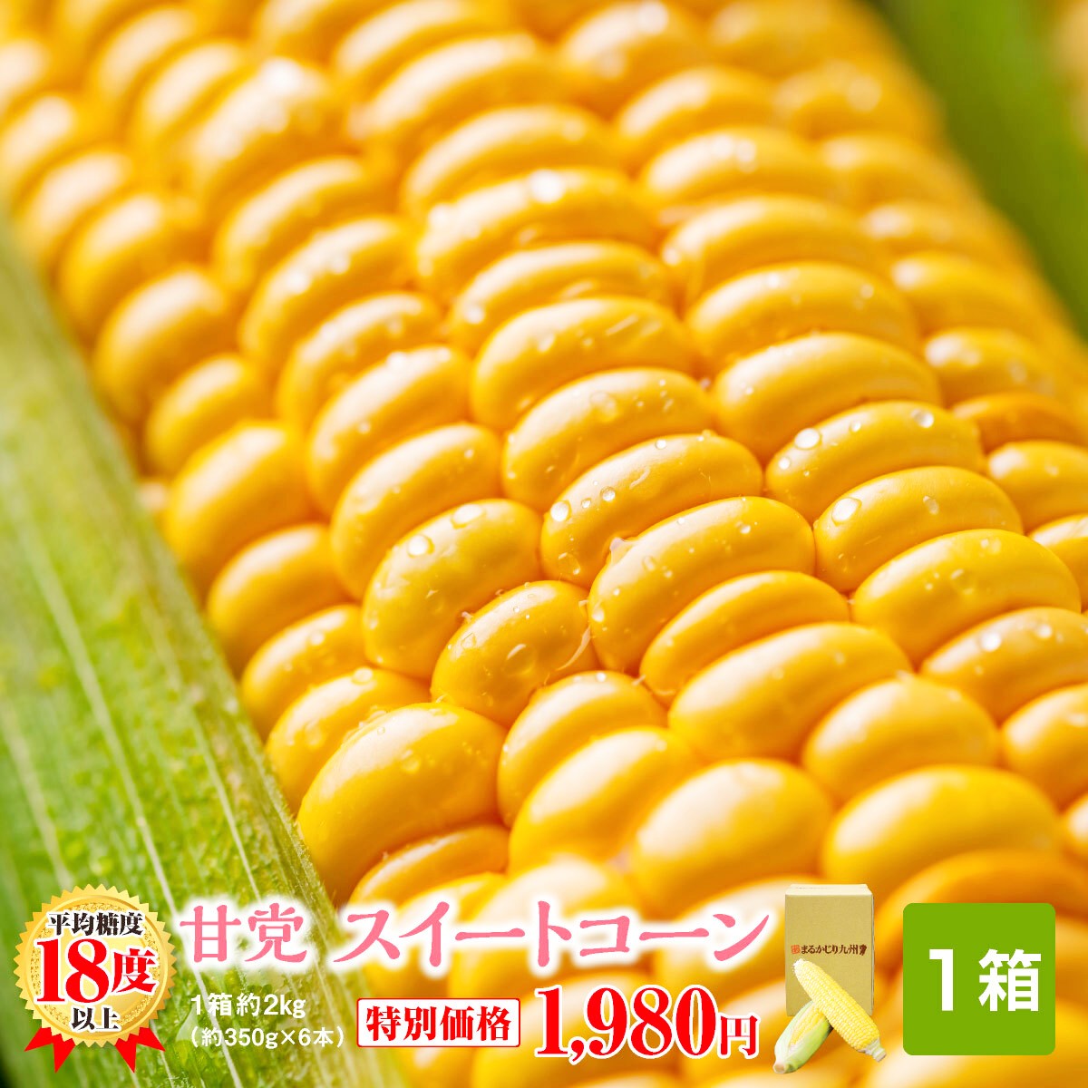 楽天市場 とうもろこし スイートコーン 甘党スイートコーン 大分県竹田 1箱 約2kg ２lサイズ 約350g 6本 3箱以上で送料無料 フルーツのように甘い 秀品のみ 品種 恵味 卯野農場 産地直送 おすすめ 人気 トウモロコシ とうきび 旬野菜 黄色 暑中見舞い お取り寄せ