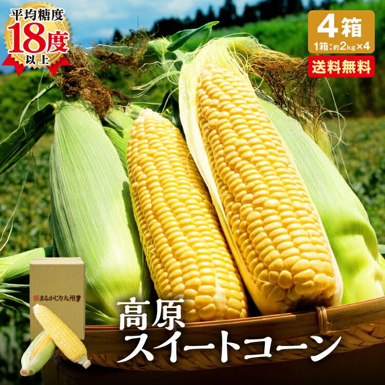 送料無料【 楽天ランキング1位 】とうもろこし 大分 スイートコーン 4箱セット 1箱あたり約2kg（約350g×6本）朝採れ 九州 大分 国産 平均糖度18度以上 生とうもろこし お取り寄せ ご当地 秀品 恵味 卯野農場 産地直送 お中元 暑中見舞い まるかじり九州