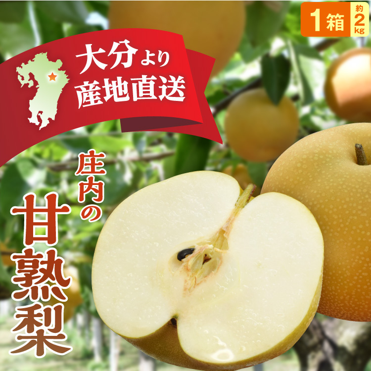 ショッピング 果物 柿 約4kg たいしゅう 太秋柿 1箱 食品 9〜16