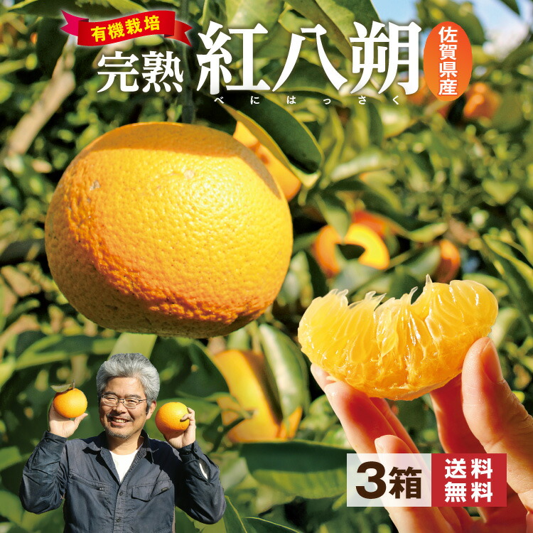 楽天市場】【 送料無料 】 紅八朔 佐賀 有機栽培 2箱セット 1箱あたり