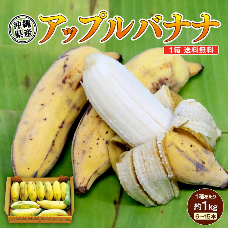 楽天市場】【送料無料】 沖縄県産バナナ アップルバナナ
